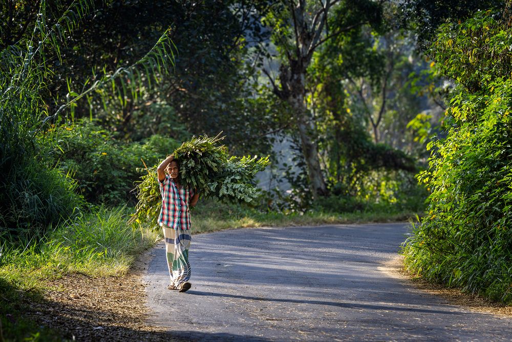 Photograph by Андрей Алпатов
