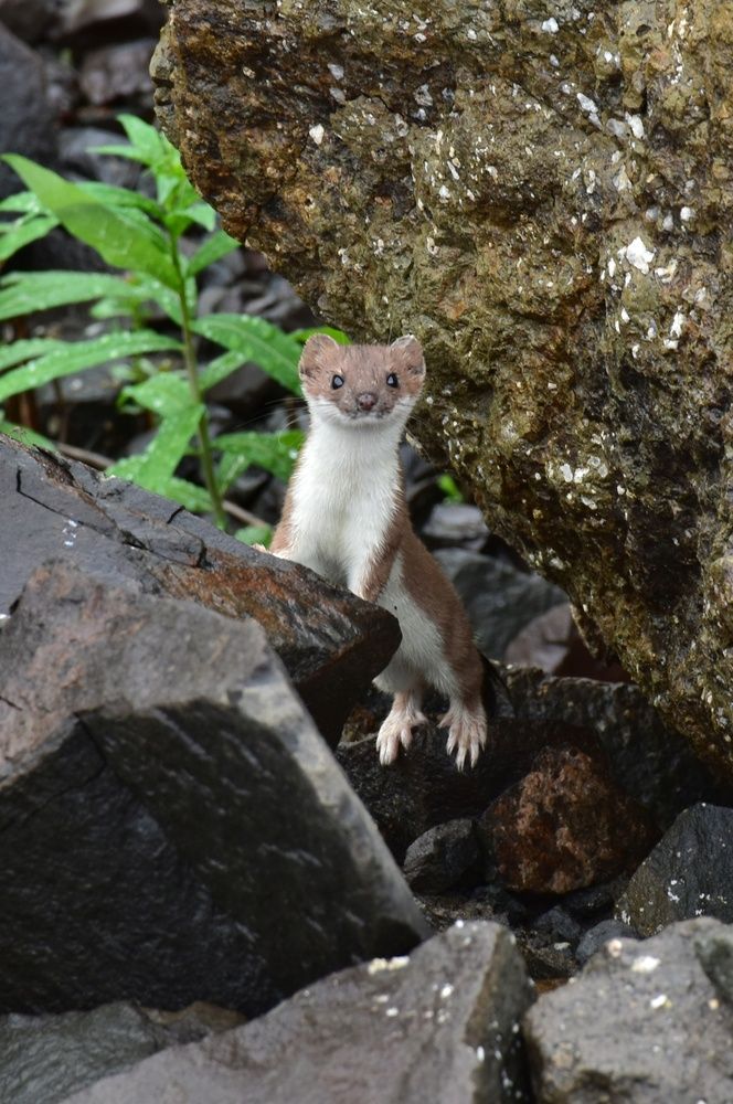 Photograph by Нина Кольман