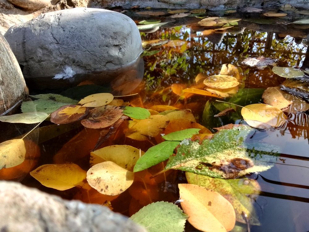 Photograph by Ксения Звонникова