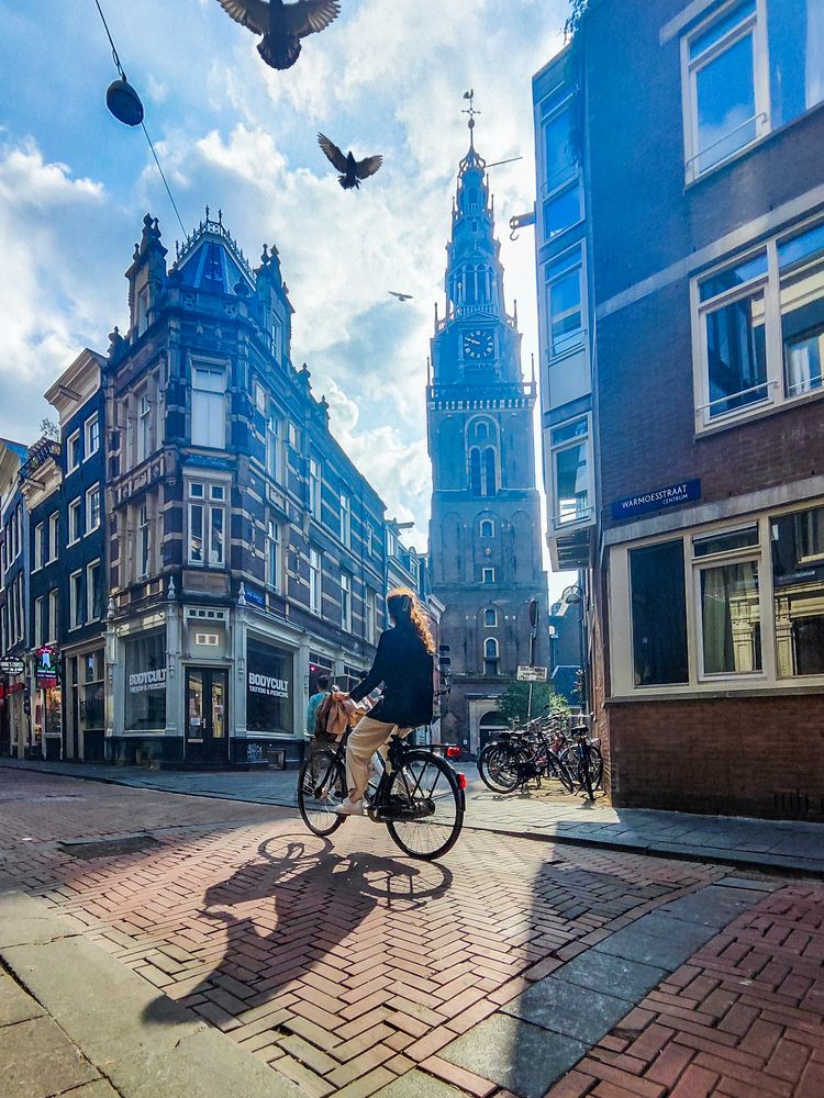 Фотография автора Mojtaba Chenari