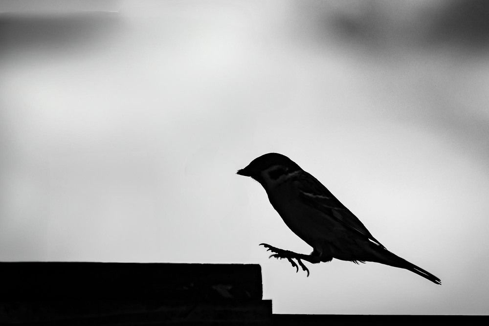 Photograph by Egor Ugrof