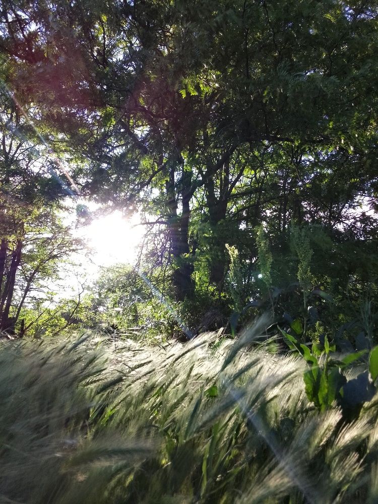 Photograph by Ксения Звонникова