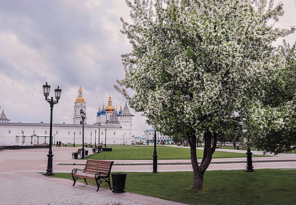 Фотография автора Елена Разина