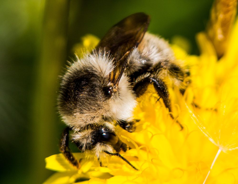 Photograph by Александр Ефимов