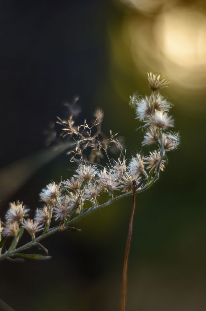 Photograph by Татьяна Псенкова