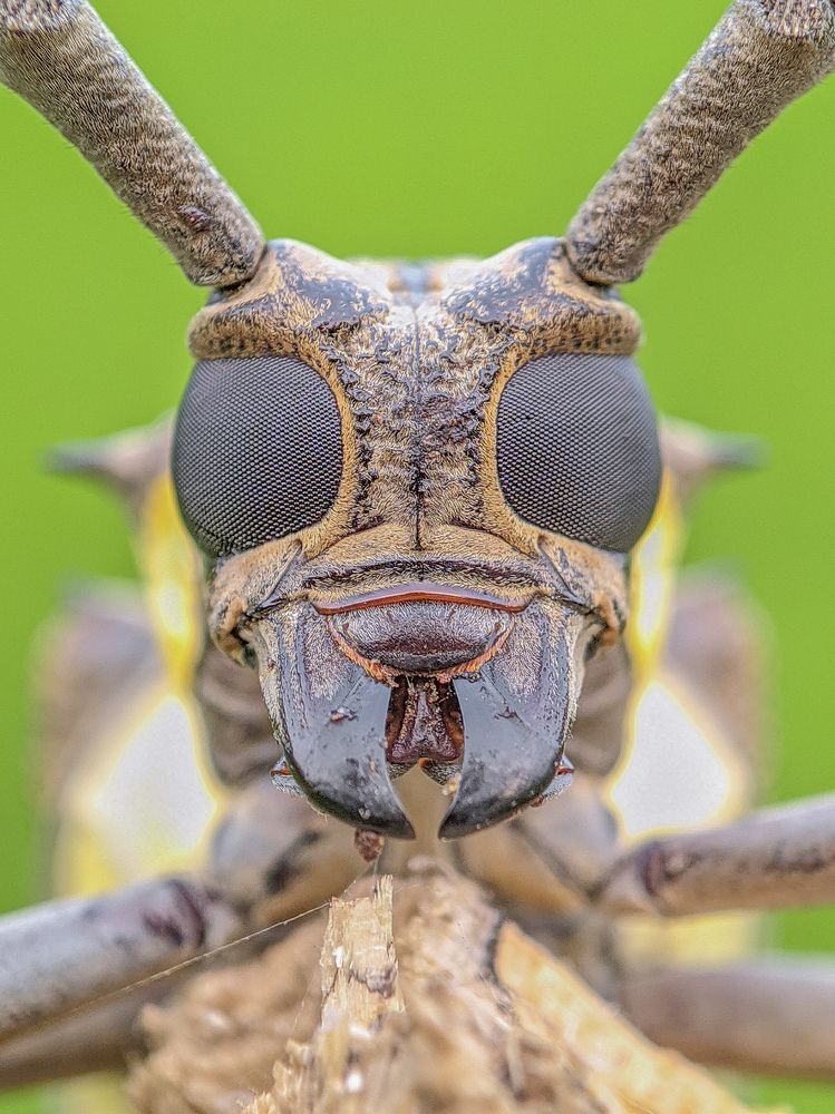 Photograph by Akash Pani