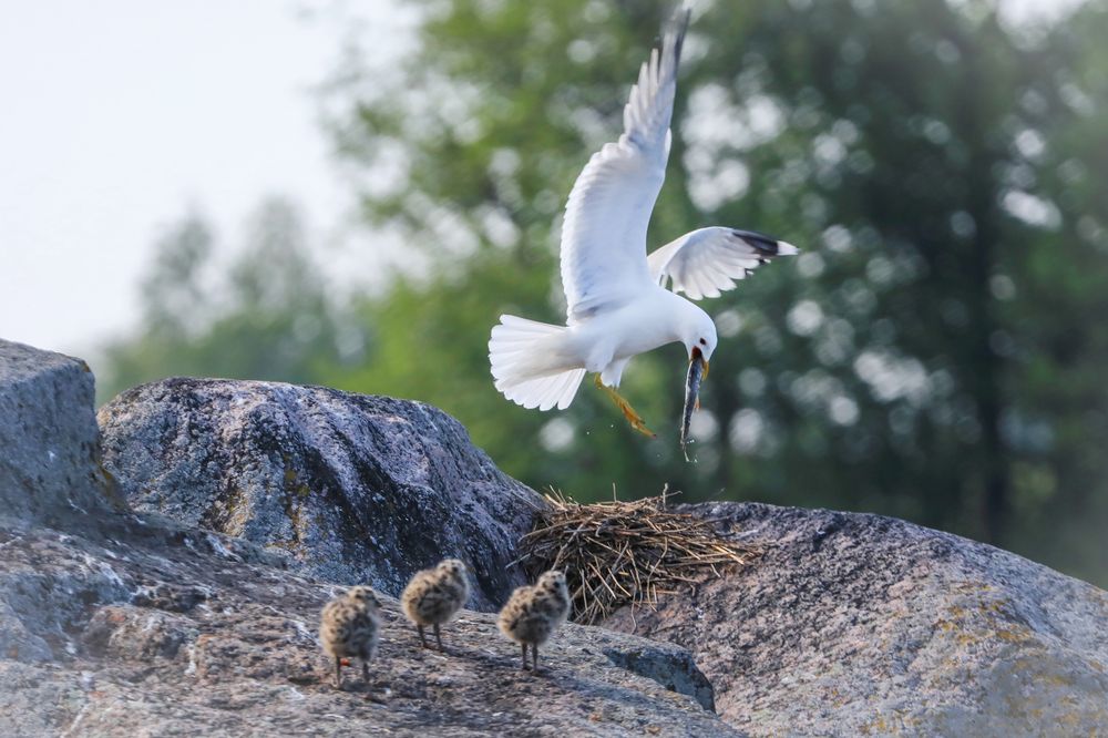 Photograph by Марина Александрова