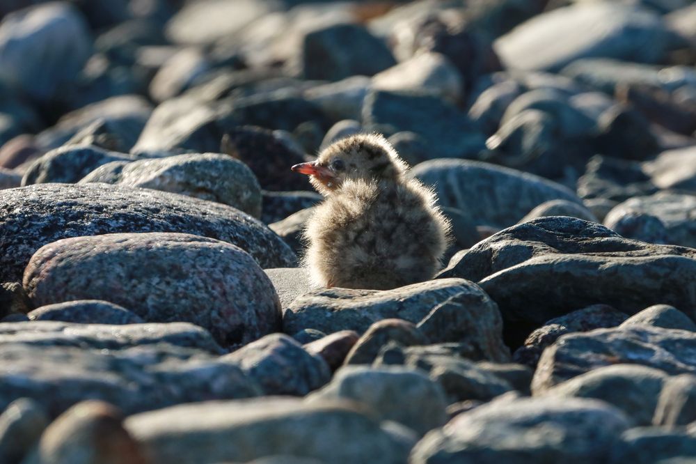 Photograph by Марина Александрова