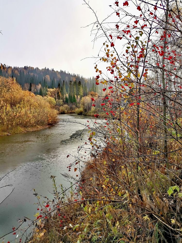 Photograph by Нина Титенкова