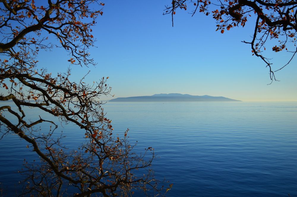 Photograph by Mihaela Vidicek