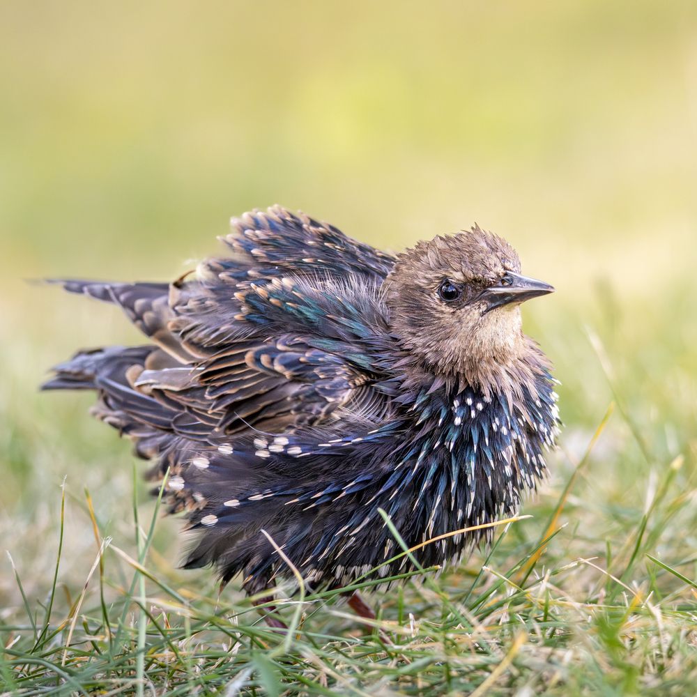 Photograph by Гукасян Геворк