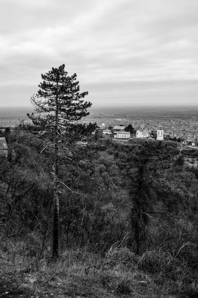 Photograph by Кузнецова