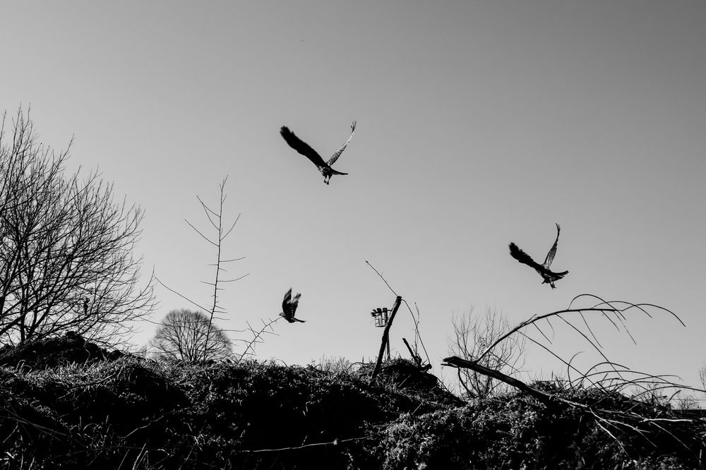 Photograph by Кузнецова