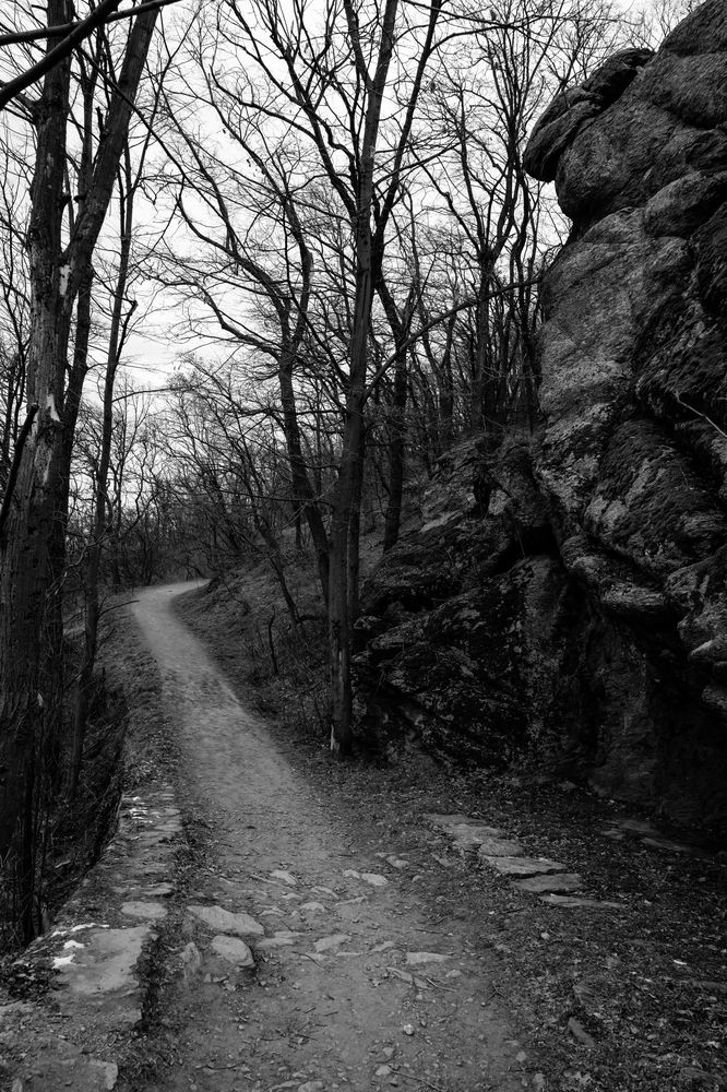 Photograph by Кузнецова