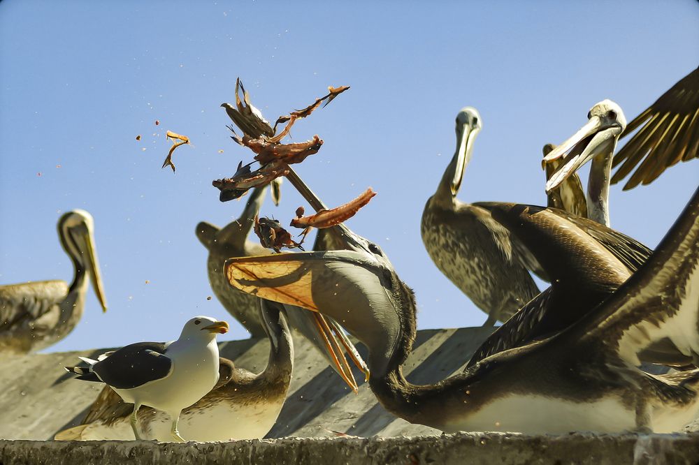 Photograph by jacson antonio vera araya