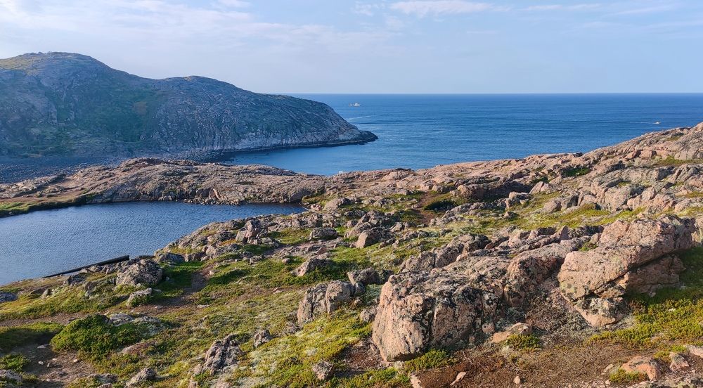 Фотография автора Ирина Муравьева