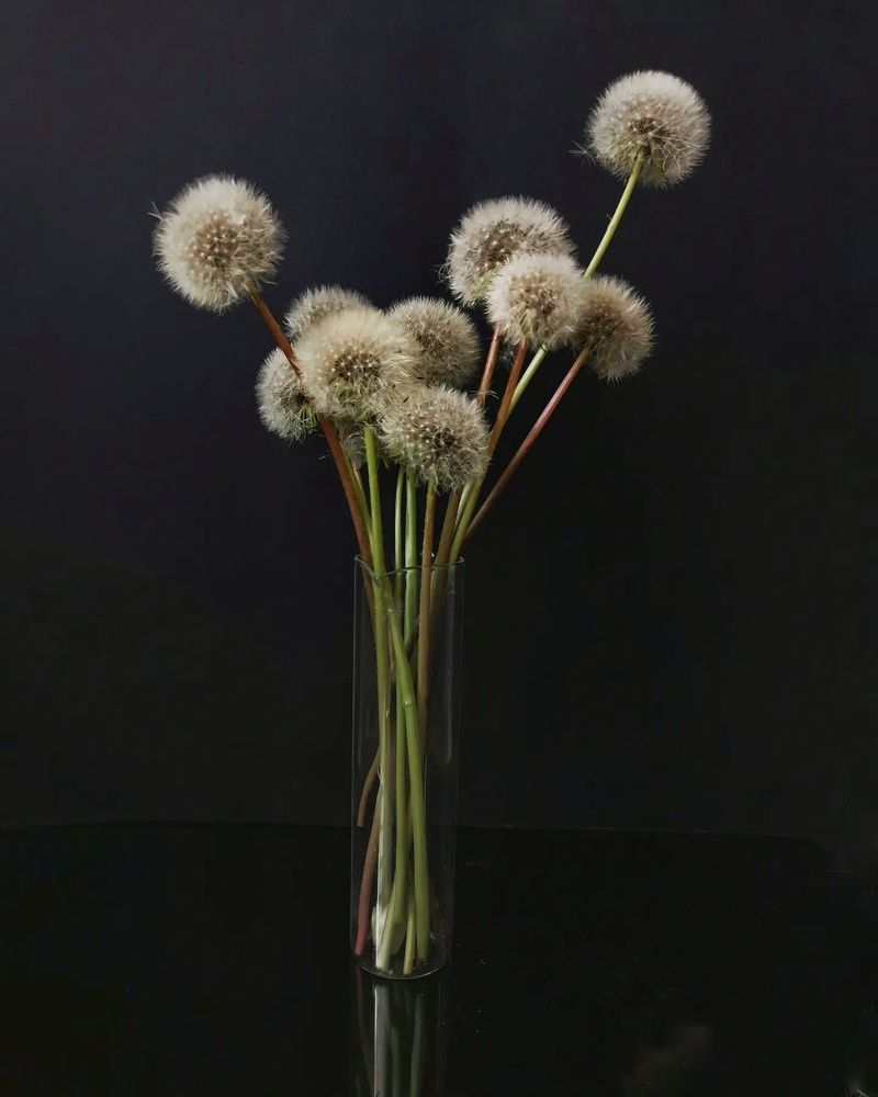 Photograph by Светлана Смирнова