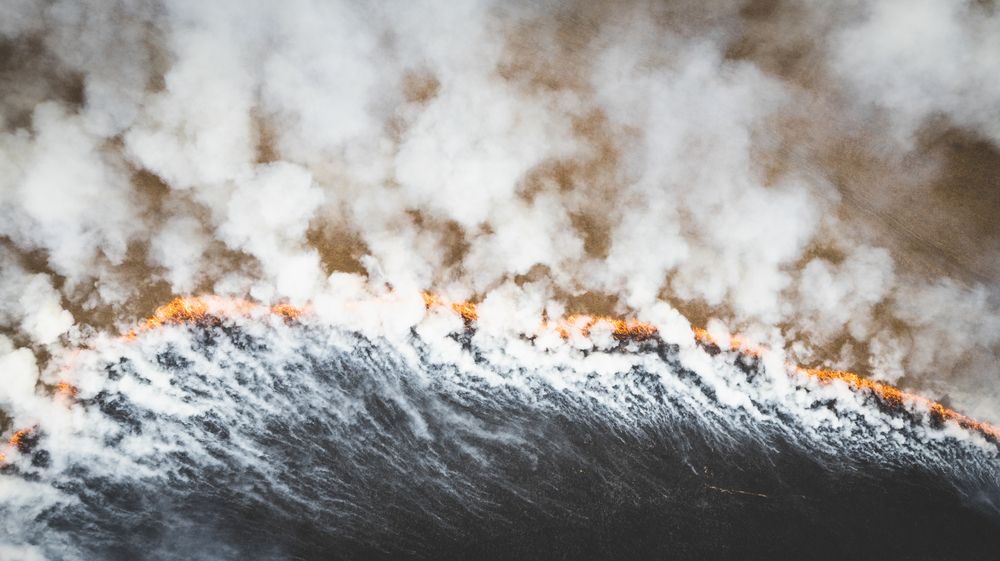 Photograph by Александр Давидик