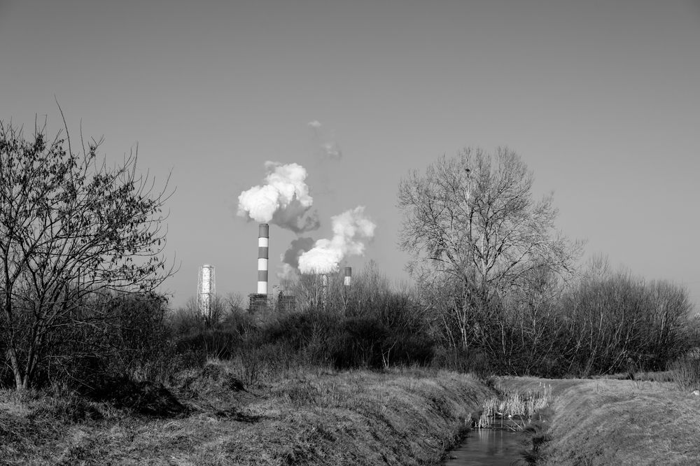 Photograph by Кузнецова