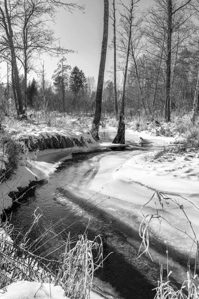 Фотография автора Александр Буренко