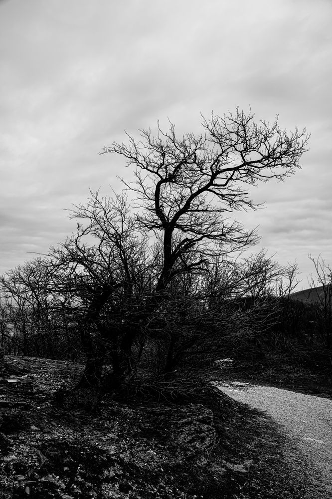 Photograph by Кузнецова