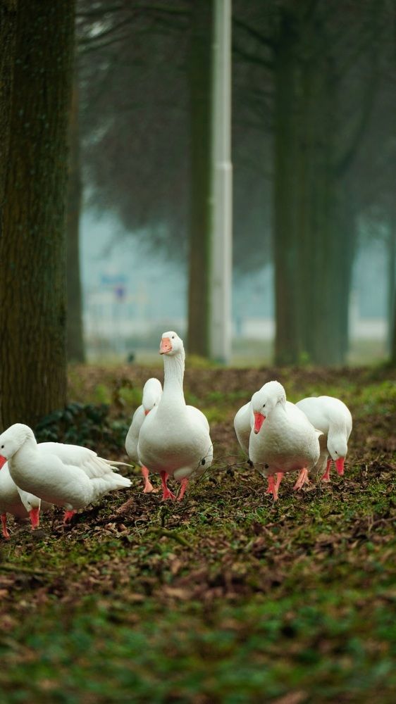 Photograph by DB channel