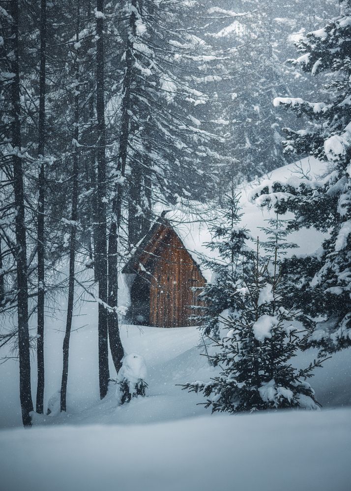 Photograph by Сергей Быков