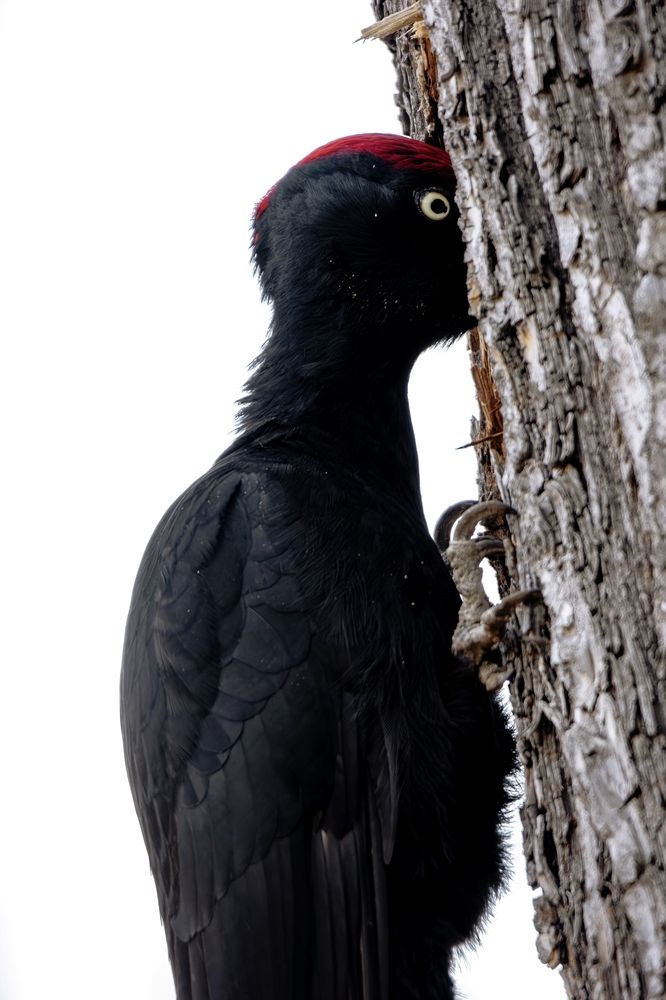 Photograph by Бурыкин Илья