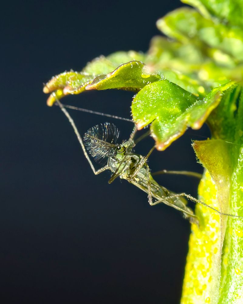 Photograph by Высотских Владимир