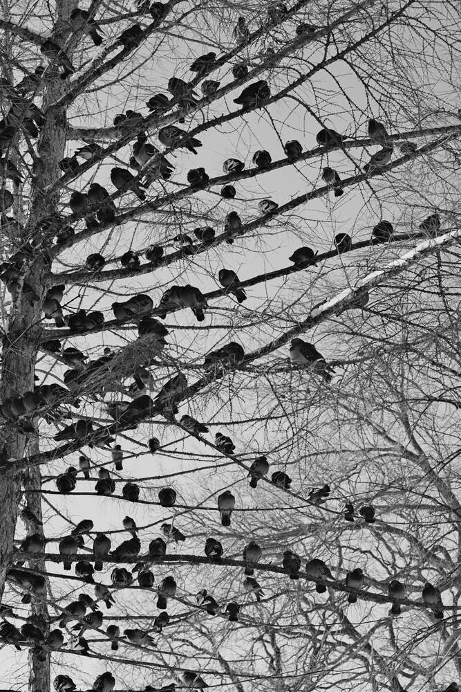 Photograph by Ясинский Константин