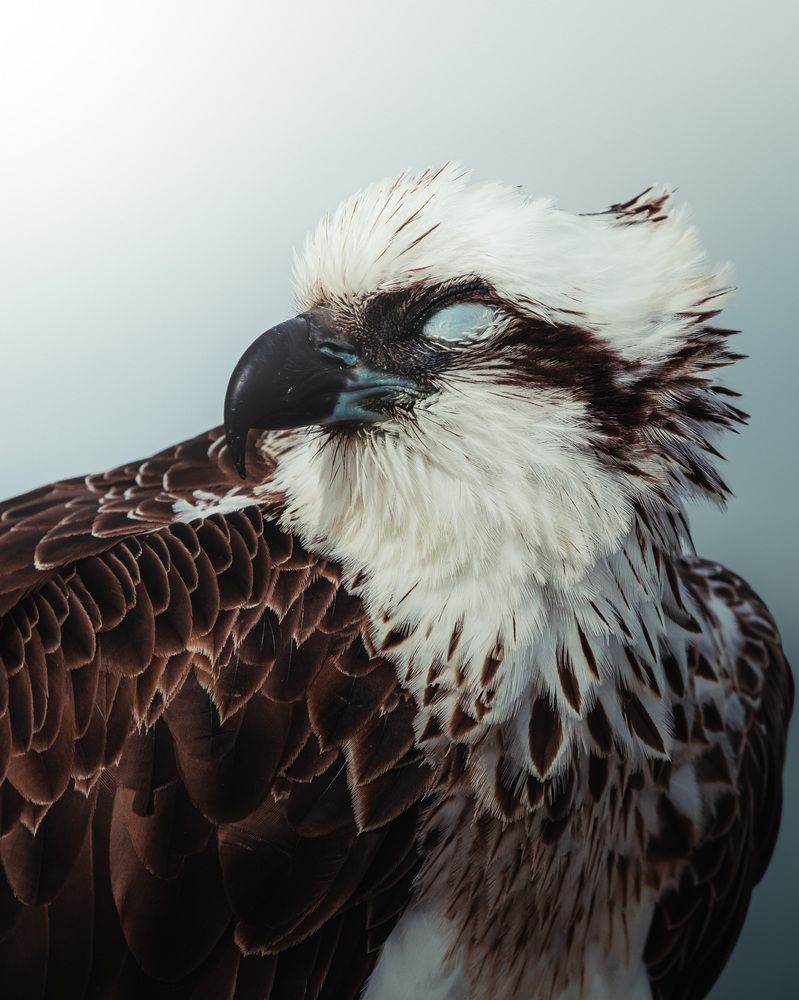 Photograph by Konnor Kwan