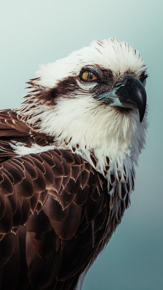 Photograph by Konnor Kwan