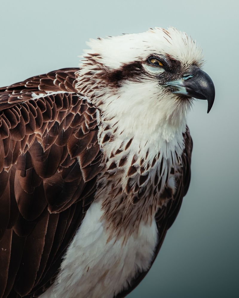 Photograph by Konnor Kwan