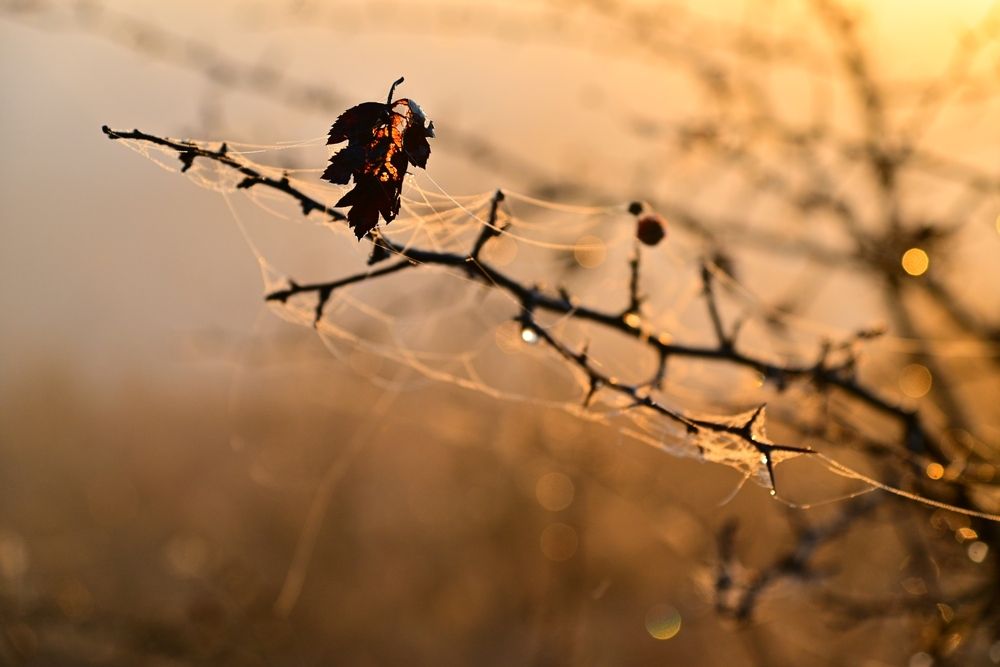 Photograph by Сергей Немцев