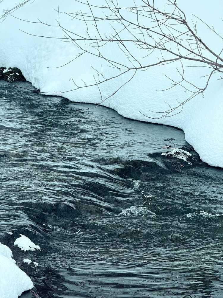 Фотография автора Елена