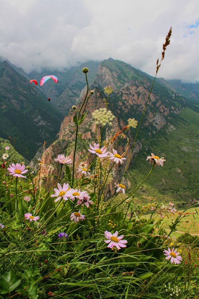 Photograph by Виктория