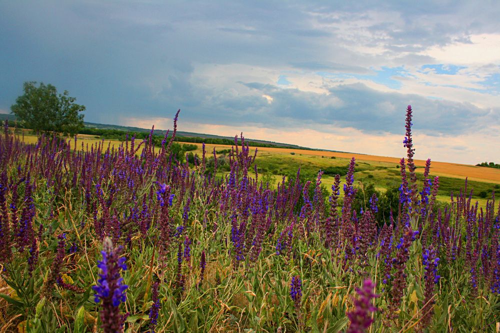 Photograph by Виктория