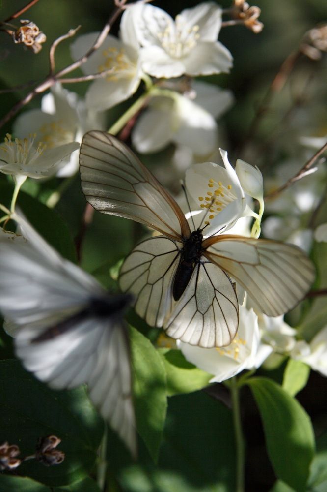 Photograph by Екатерина Брехова