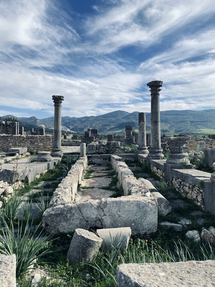 Photograph by Наталья Посашко