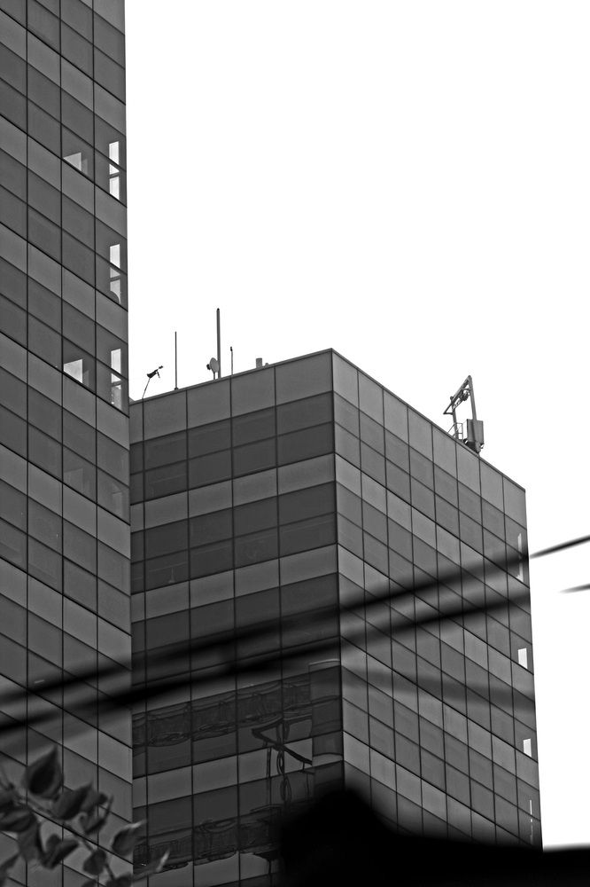 Photograph by Afro Brown a.k.a AZULA ??