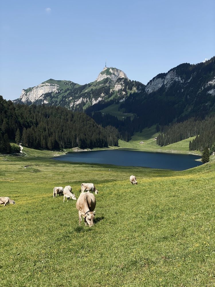 Photograph by Наталья Посашко