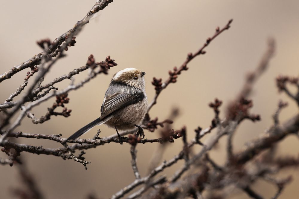 Photograph by Инна Баженова