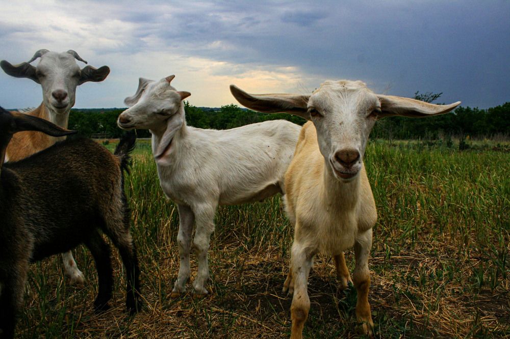 Photograph by Виктория