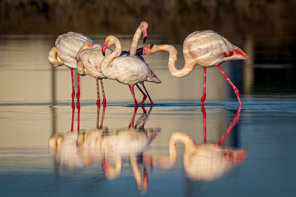 Фотография автора Μessis