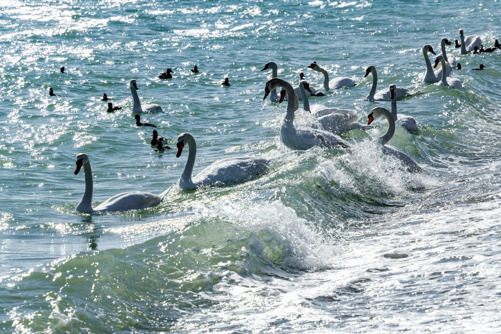 На водных горках