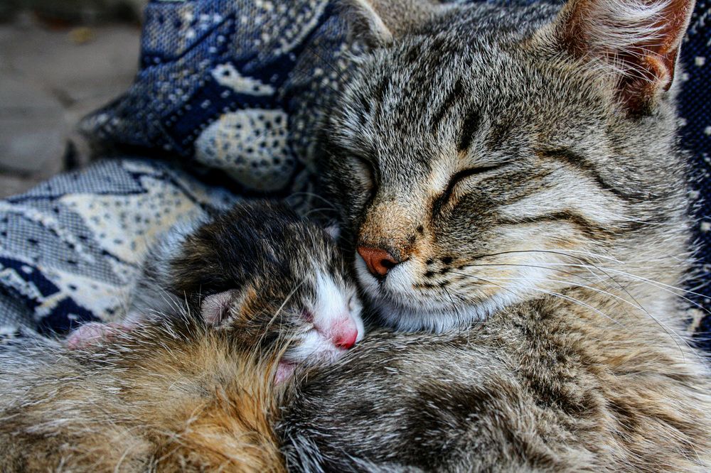 Photograph by Виктория