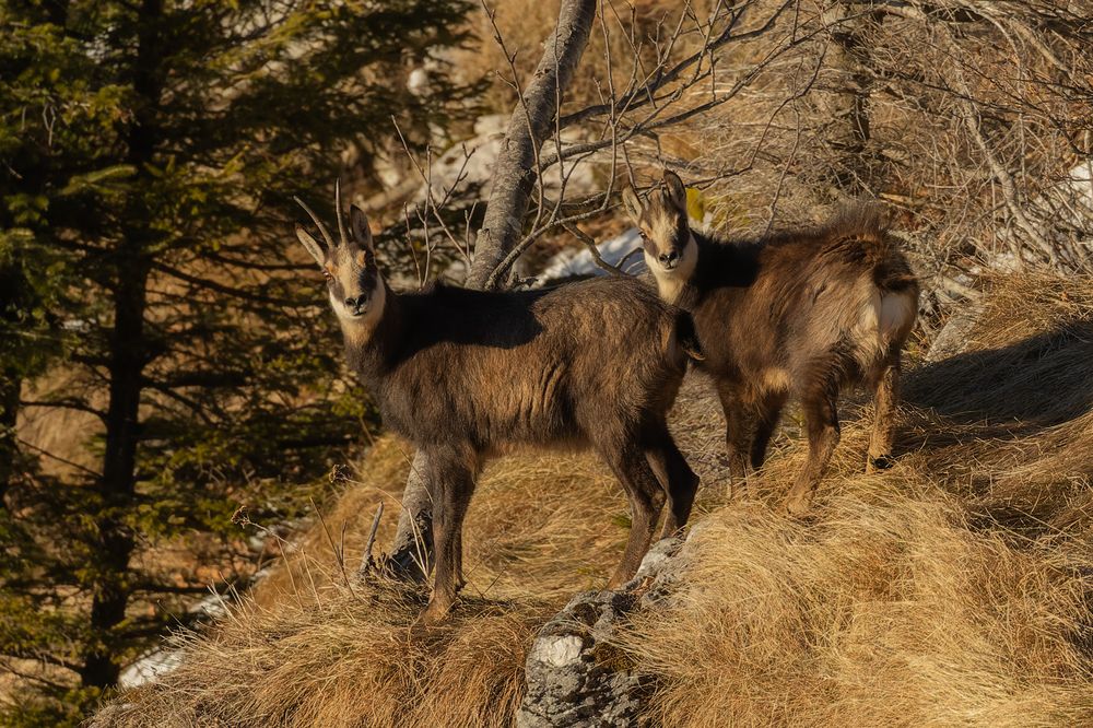 Photograph by George Alexandru Ghiuro