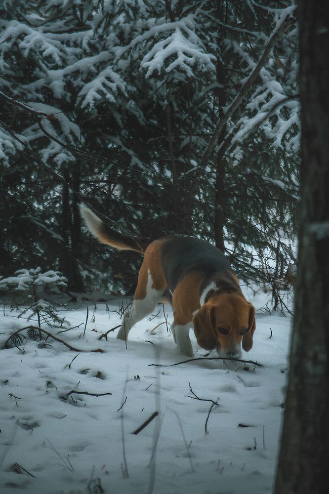 Photograph by Алина Мец