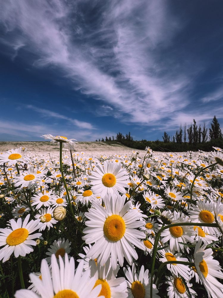 Photograph by Александра Сафронова