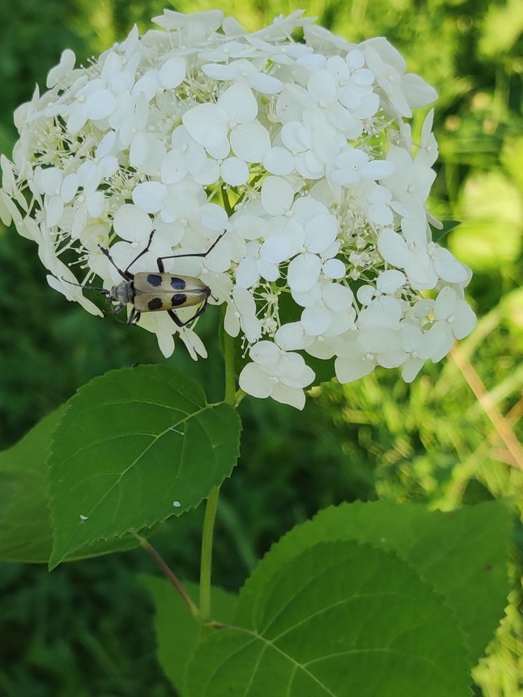 Photograph by Наталья